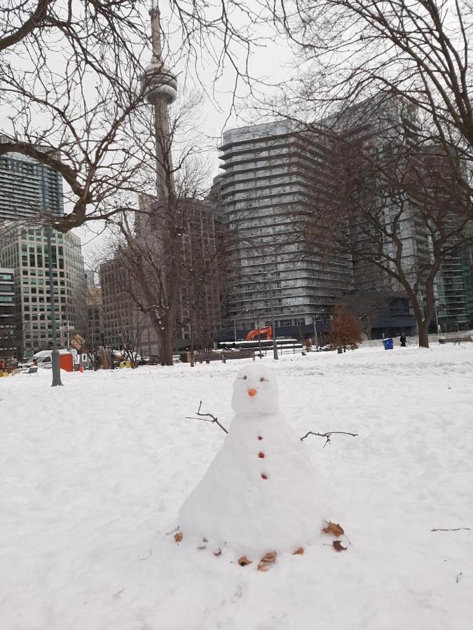 The Clarence Park Vandrehjem Toronto Eksteriør billede